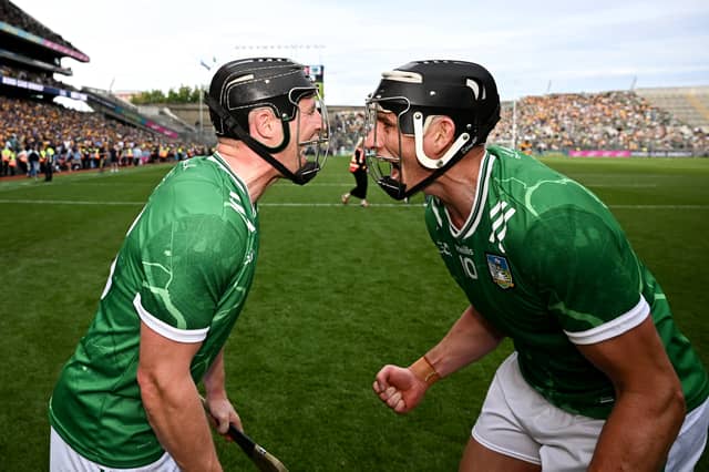Limerick players Peter Casey, left, and Gearóid Hegarty celebrate after their side's All-Ireland semi-final win over Clare