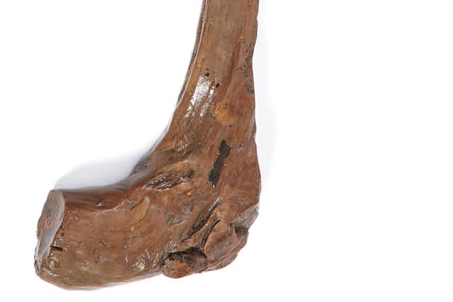 Detail of bas or heel/head of the Skehacreggaun find at Mungret PICTURE: JOHN KAVANAGH/ ICON ARCHAEOLOGY