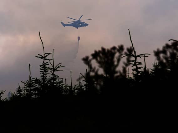 Slievenamon wildfire