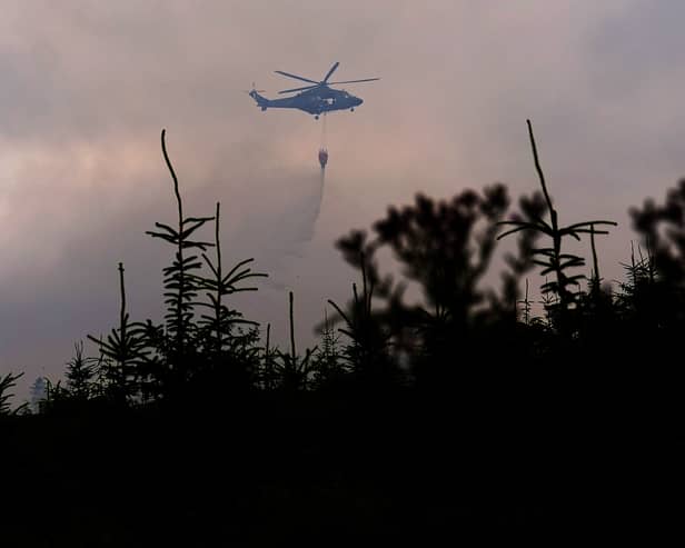 Slievenamon wildfire