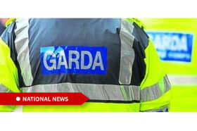 Gardai appeal for witnesses to fatal road collision