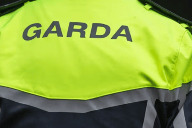 The man was removed from the house by gardai
