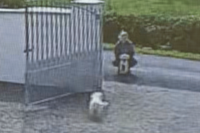 Doorbell camera footage captured a woman allegedly luring the dogs from their county Limerick home