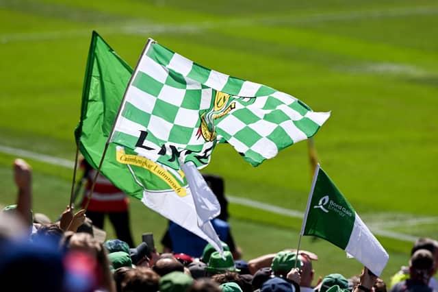A member of Limerick's All-Ireland senior hurling panel has got a new job | PICTURE: RAY MCMANUS/Sportsfile