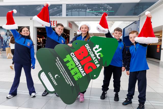 6th class students Lauren Wong and Ryan Ward of Le Chéile NS Rathbane, and Zoe Kowalik, Jake Onslow and Lincoln Brown of Our Lady Queen of Peace NS, Janesboro, pictured at the launch in the Crescent Shopping Centre. PICTURE: ARTHUR ELLIS