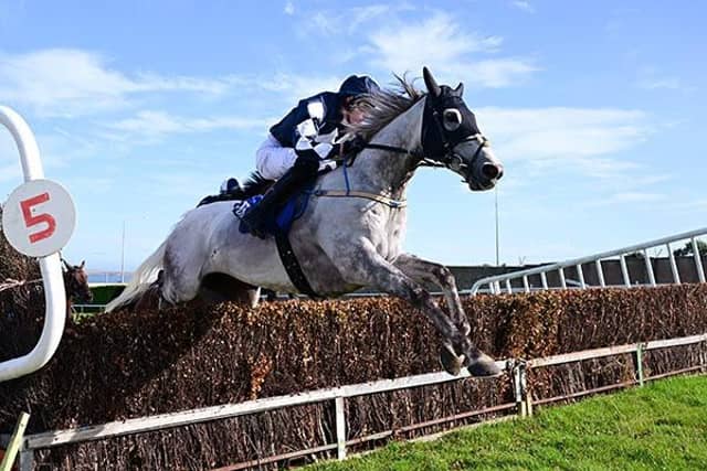 Rathkeale's Calum Hogan in action