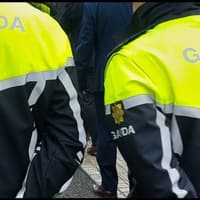 LATEST: Arrest made following theft and criminal damage incidents in Limerick city