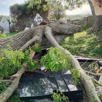 New and historic graves crushed by falling tree in Limerick cemetery