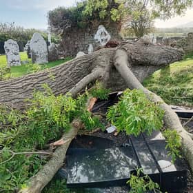 Headstones damaged in Tankardstown Cemetery after a huge tree came crashing down during high winds  