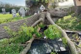 Headstones damaged in Tankardstown Cemetery after a huge tree came crashing down during high winds  