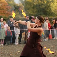 Limerick Harvest Festival set to make a fiery return