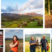 New food initiative Golden Vale Table launches in Limerick and Cork