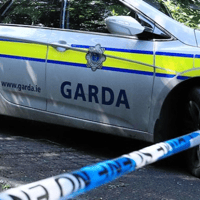 Limerick man dies after fatal assault in Dublin