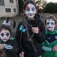 PICTURES: Spooktacular Halloween procession in Limerick town