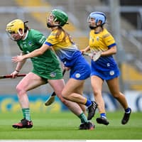 Limerick star named in Ireland camogie squad for shinty international