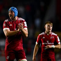 Munster duo named in Ireland squad for November internationals