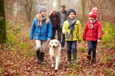Beach and hill walks in the autumn can be incredibly invigorating (once you’re all geared up)