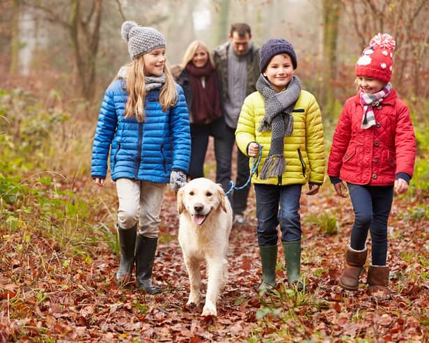 Beach and hill walks in the autumn can be incredibly invigorating (once you’re all geared up)