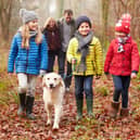 Beach and hill walks in the autumn can be incredibly invigorating (once you’re all geared up)