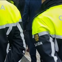 Two men arrested in Limerick after shots fired at house