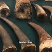 The Rathkeale rovers played a role in stealing and smuggling rhinoceros horns to countries in Asia