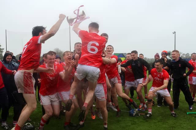 Doon celebrating winning the Premier Junior A Hurling Championship in Cappamore