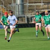 David Dempsey, Na Piarsaigh, during the SHC round 1 clash with Kilmallock earlier this year