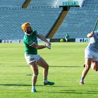 Limerick Senior Hurling Championship final: All you need to know