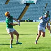 Oisin O'Reilly in action for Kilmallock against Na Piarsaigh in round 1 of the Whitebox Senior Hurling Championship
