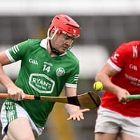 Brothers in arms: The family links in the Limerick hurling final