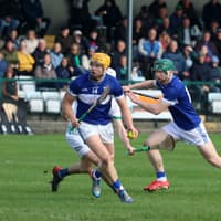 Senior hurling the big prize as south Limerick rivals do battle