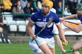 David Breen, Dromin-Athlacca, in action during the semi-final win over Murroe-Boher
