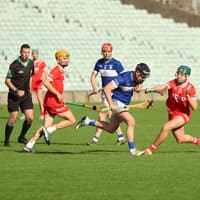 Dromin-Athlacca withstand late Bruff rally to secure Premier IHC title