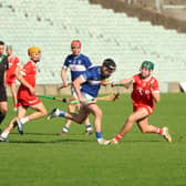 Action from the Premier Intermediate Hurling Championship final between Dromin-Athlacca and Bruff