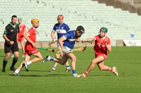 Action from the Premier Intermediate Hurling Championship final between Dromin-Athlacca and Bruff