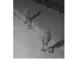 Suspects caught on camera during an attempted break-in in Granagh  