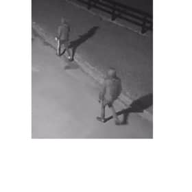Suspects caught on camera during an attempted break-in in Granagh  