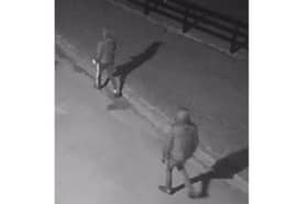 Suspects caught on camera during an attempted break-in in Granagh  