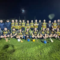 Former Limerick hurler wins fourth county medal - 30 years after first