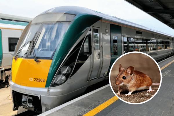 These complaints, along with over a thousand others, were revealed following a Freedom of Information request sent to the National Transport Authority