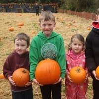 PICTURES: Spooky family fun at Curraghchase Pumpkin Patch