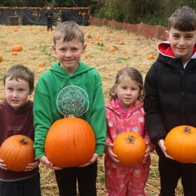 Liam, Andy and Kate Ann Reilly enjoying the Curraghchase Pumpkin Patch 2026 PICTURE:BRENDAN GLEESON