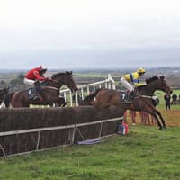 Under starter’s orders in Limerick for one of Ireland’s oldest point to points