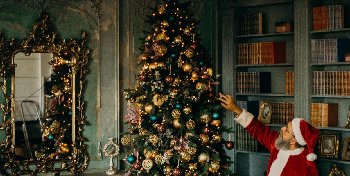 Green Fingers: Oh Christmas tree.. how do I care for thee ...