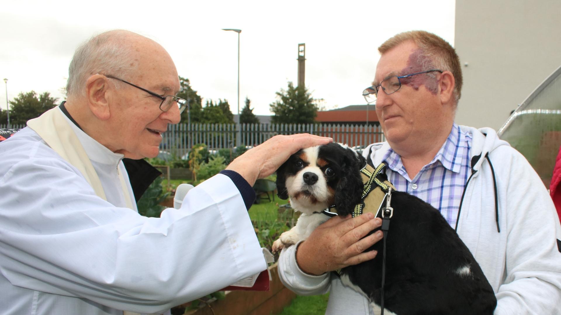 In Pictures Blessing of the pets event takes place in Limerick parish