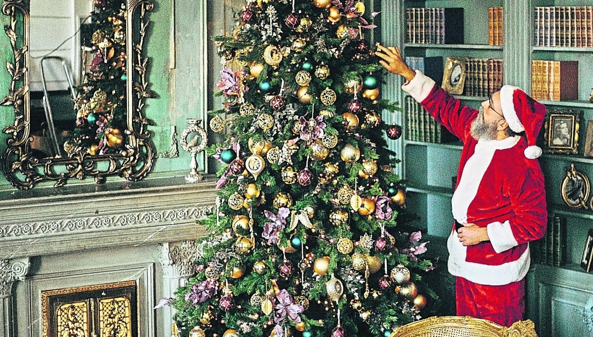 Green Fingers: Oh Christmas tree... how do I care for thee ...