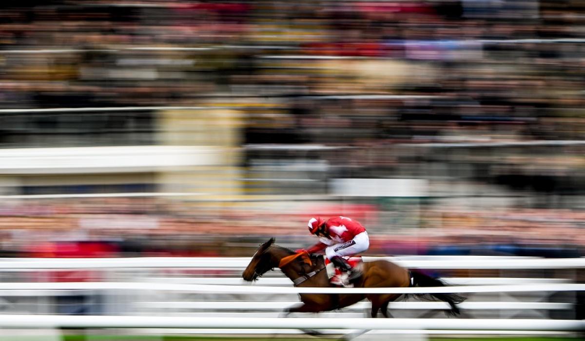 Cheltenham Festival Tips Thursday's Top Picks Limerick Live