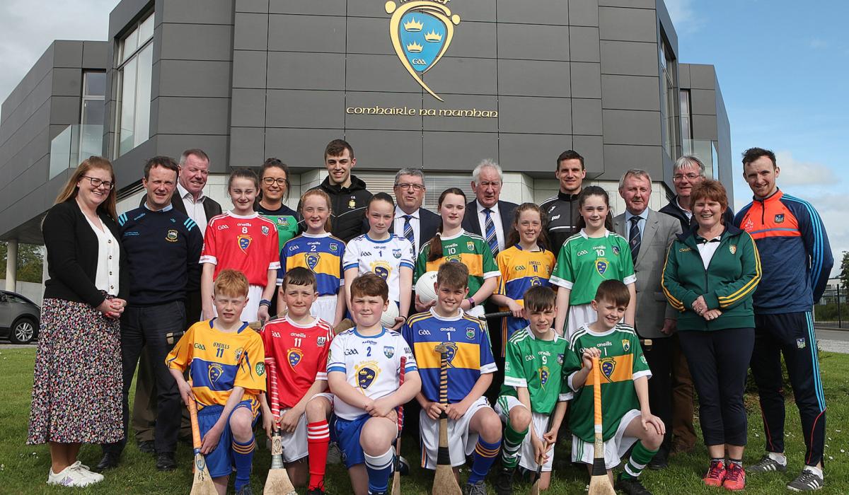 Future stars to line out for Primary Schools Games Limerick Live