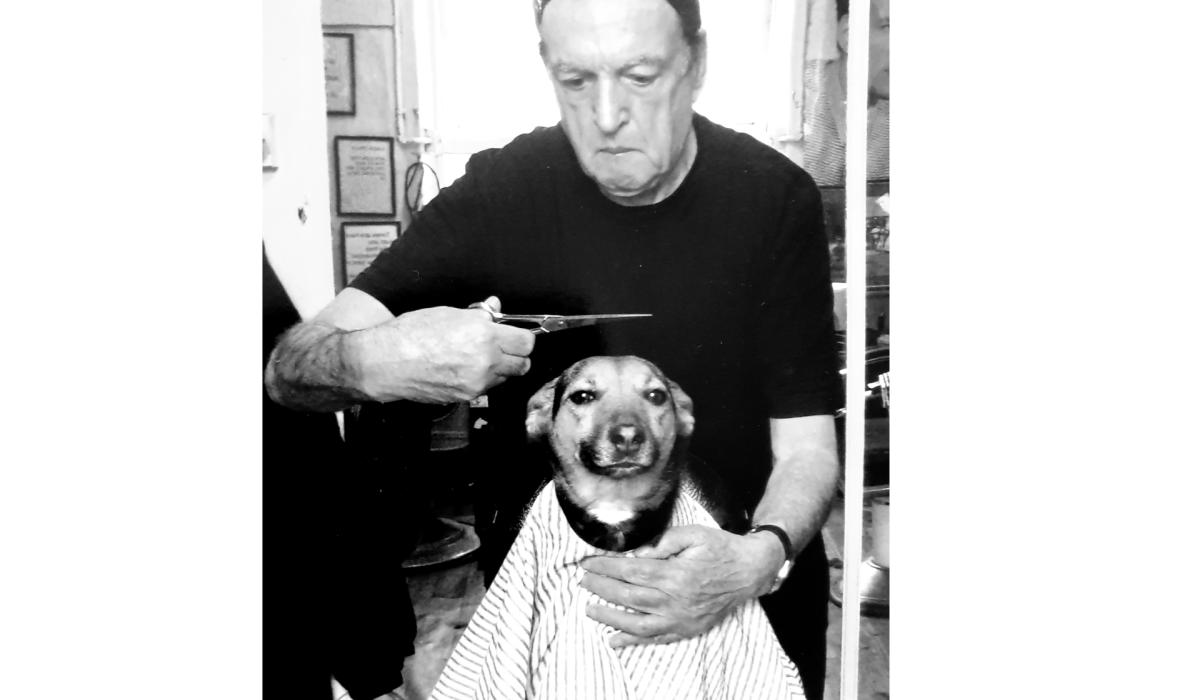 Limerick's 'best barber in the world' Pat Stapleton passes away Photo