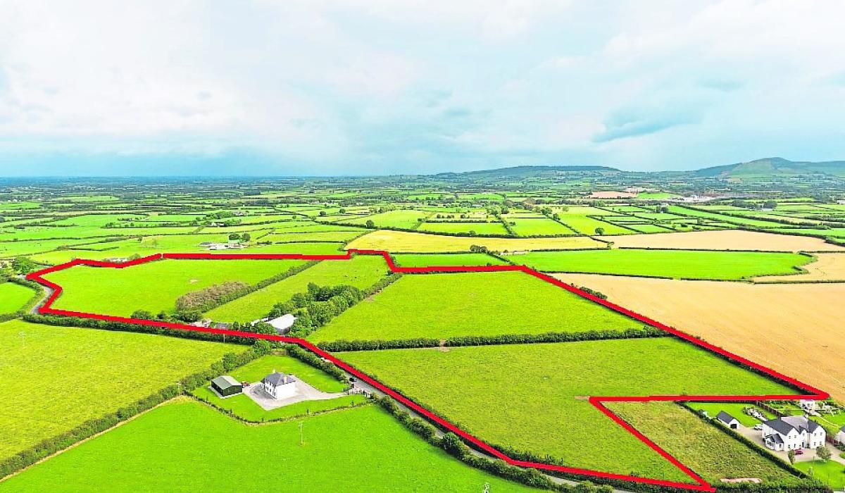 WATCH Gavel drops on third major Limerick land sale in Adare this year